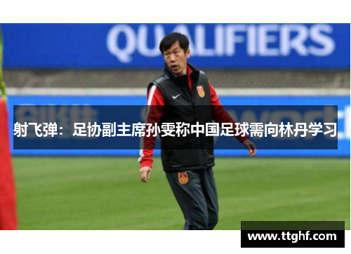 射飞弹：足协副主席孙雯称中国足球需向林丹学习